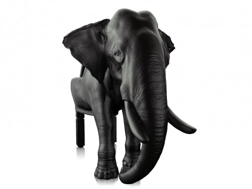 the elephant by maximo riera