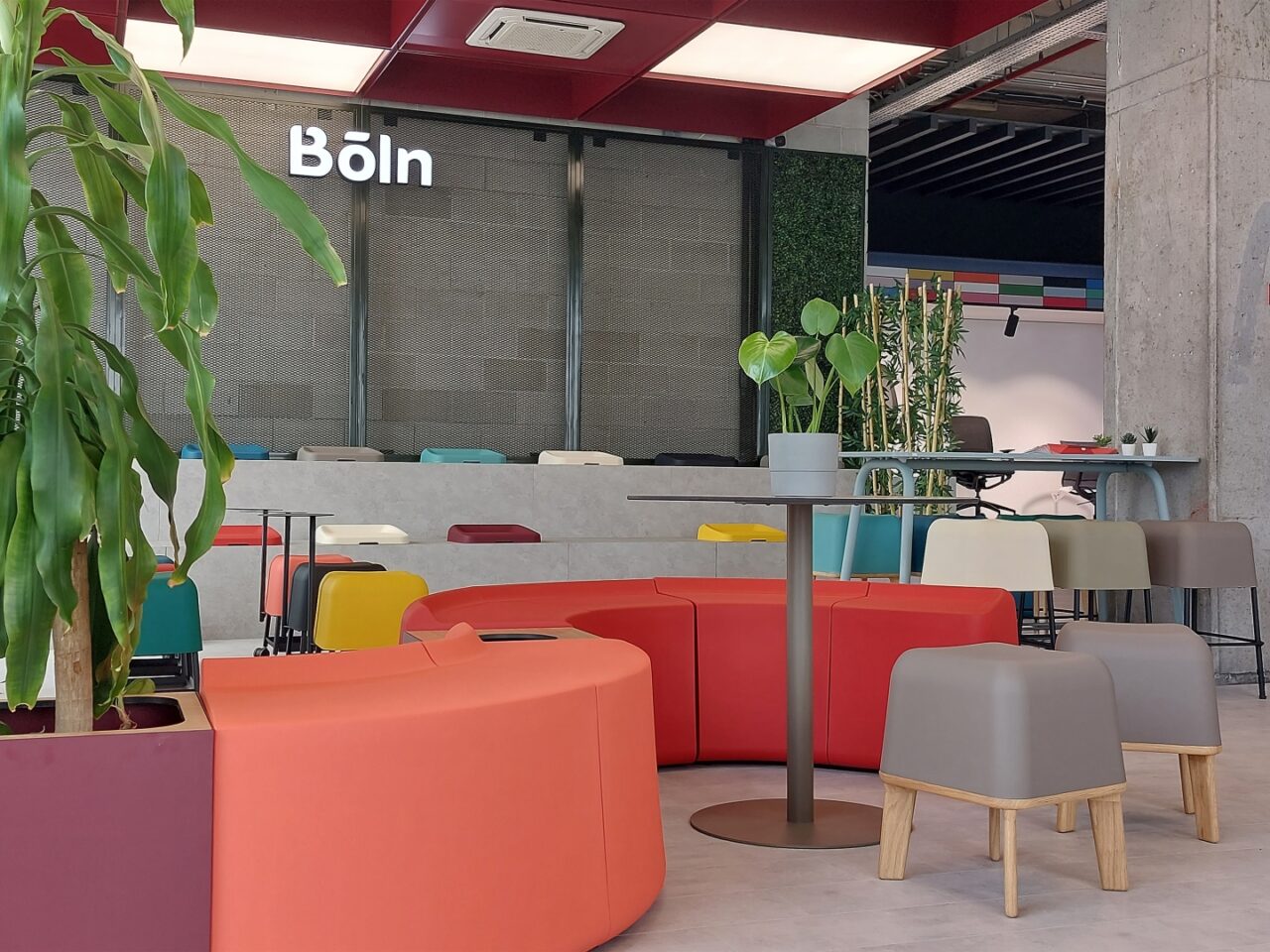 boln-showroom-turkey