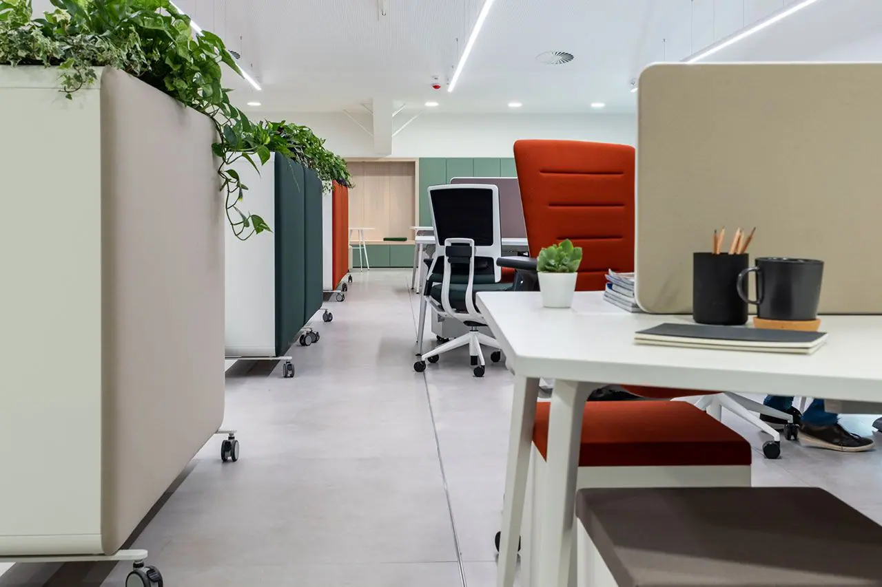 55294-55283-orbea-offices