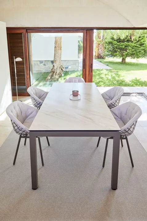 47532-47531-salvia-table