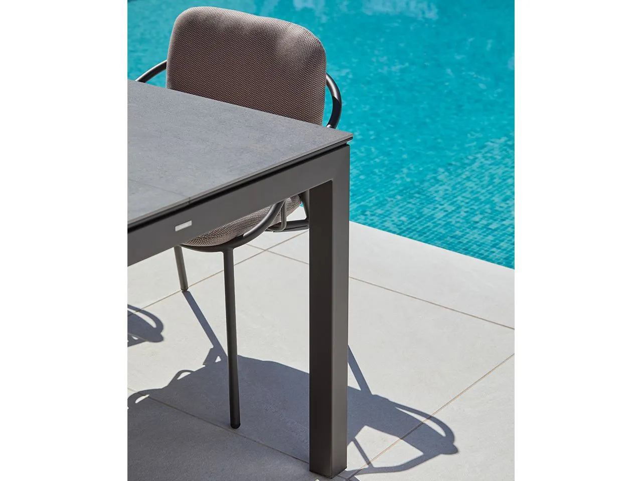 55019-47531-salvia-table