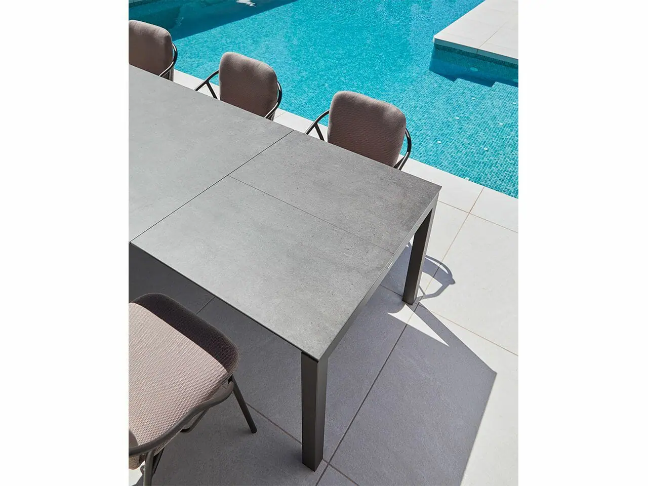 55020-47531-salvia-table