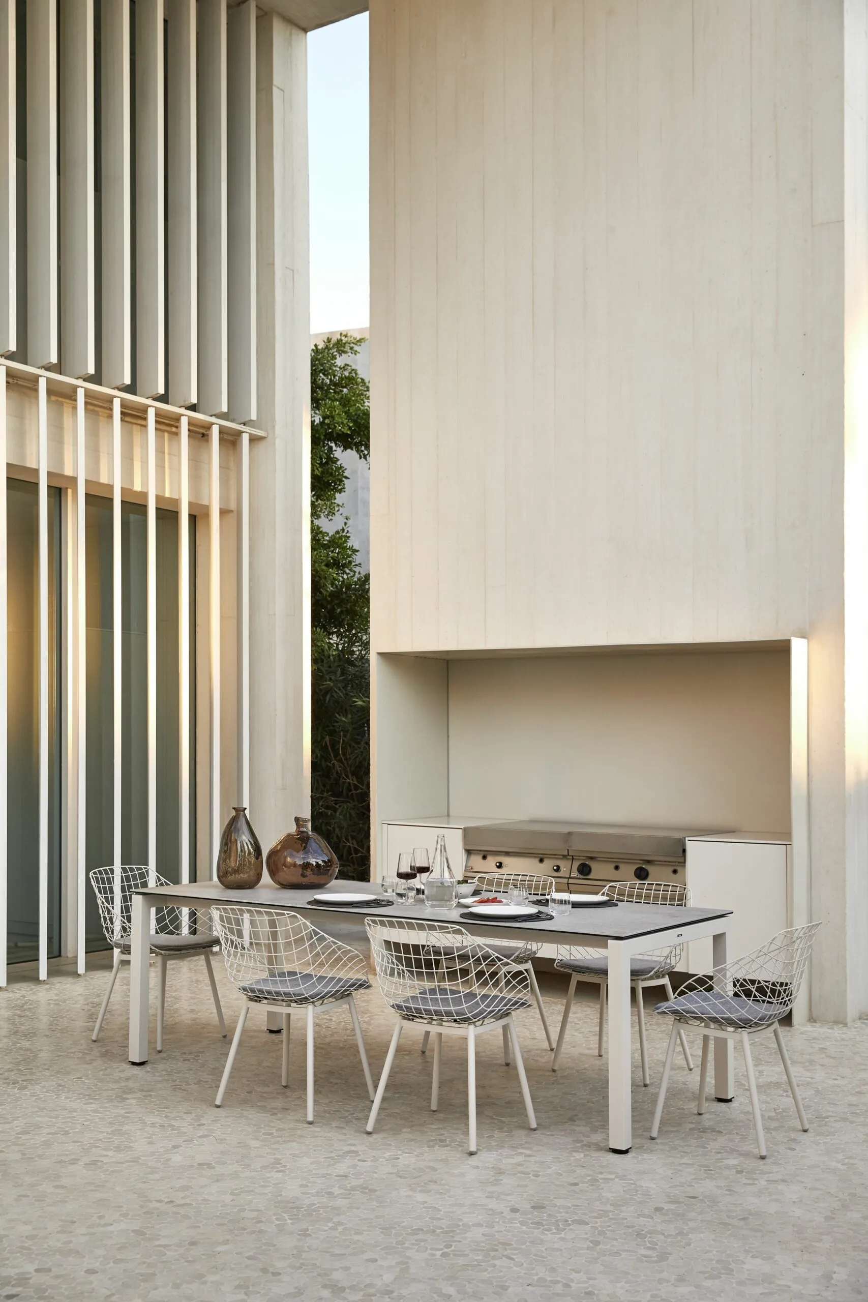 55021-47531-salvia-table