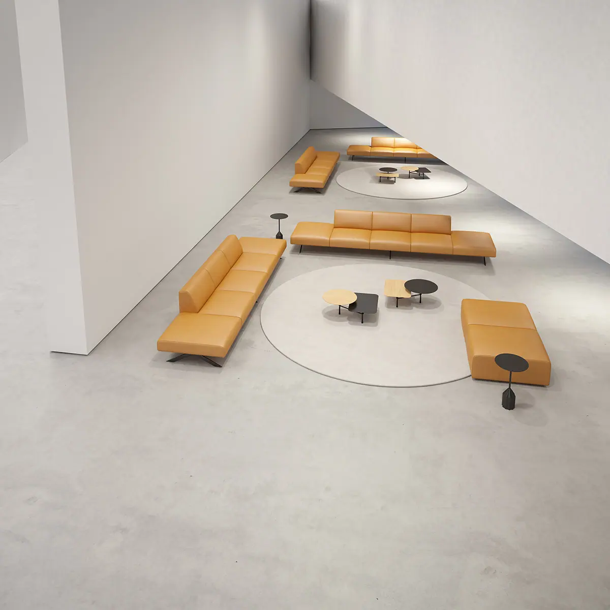55439-55425-sistema-legs