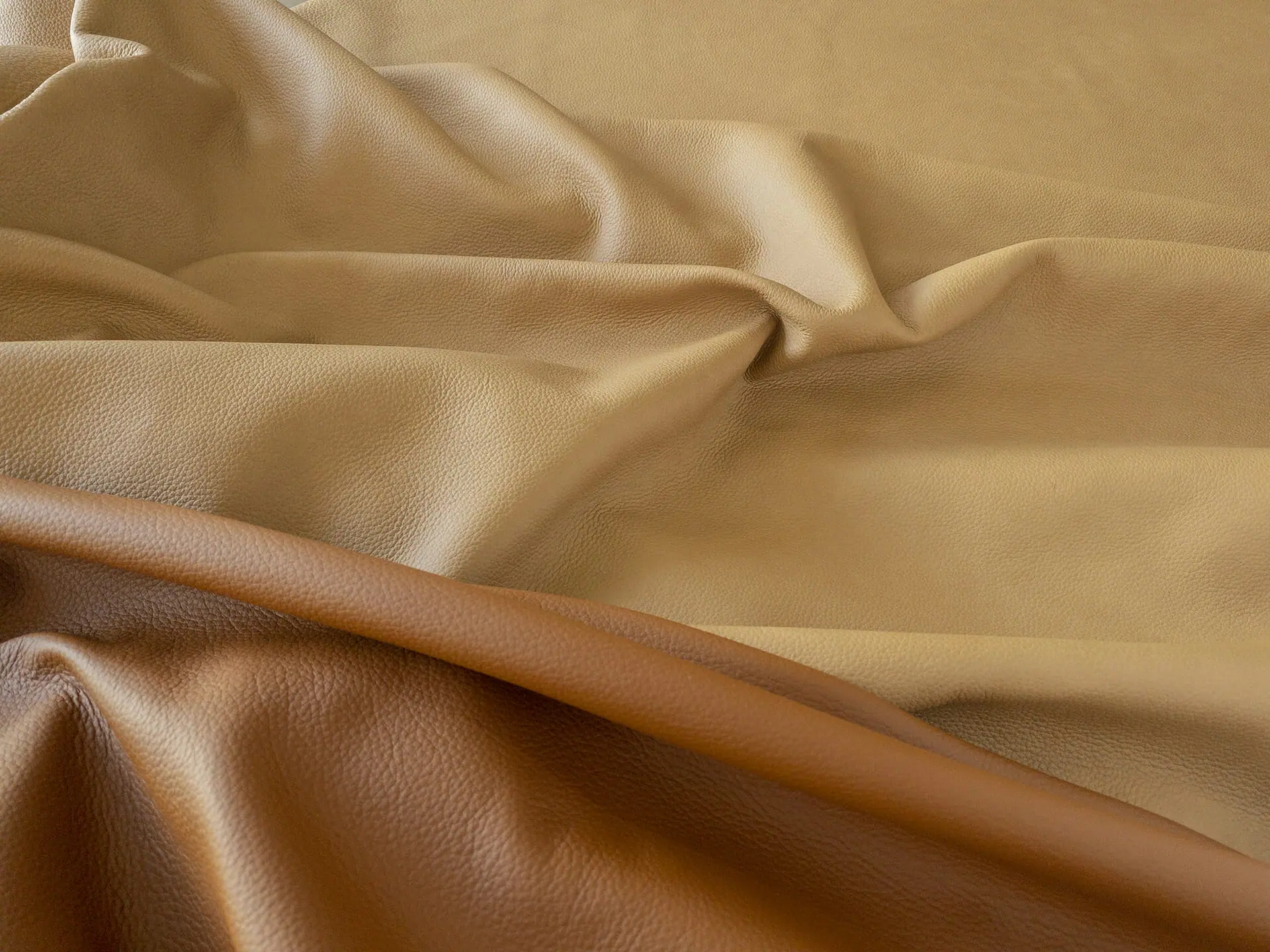 mariano-farrugia-leather-verso-y-rima-1920